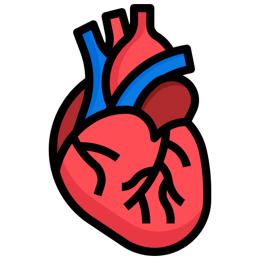cardiology
