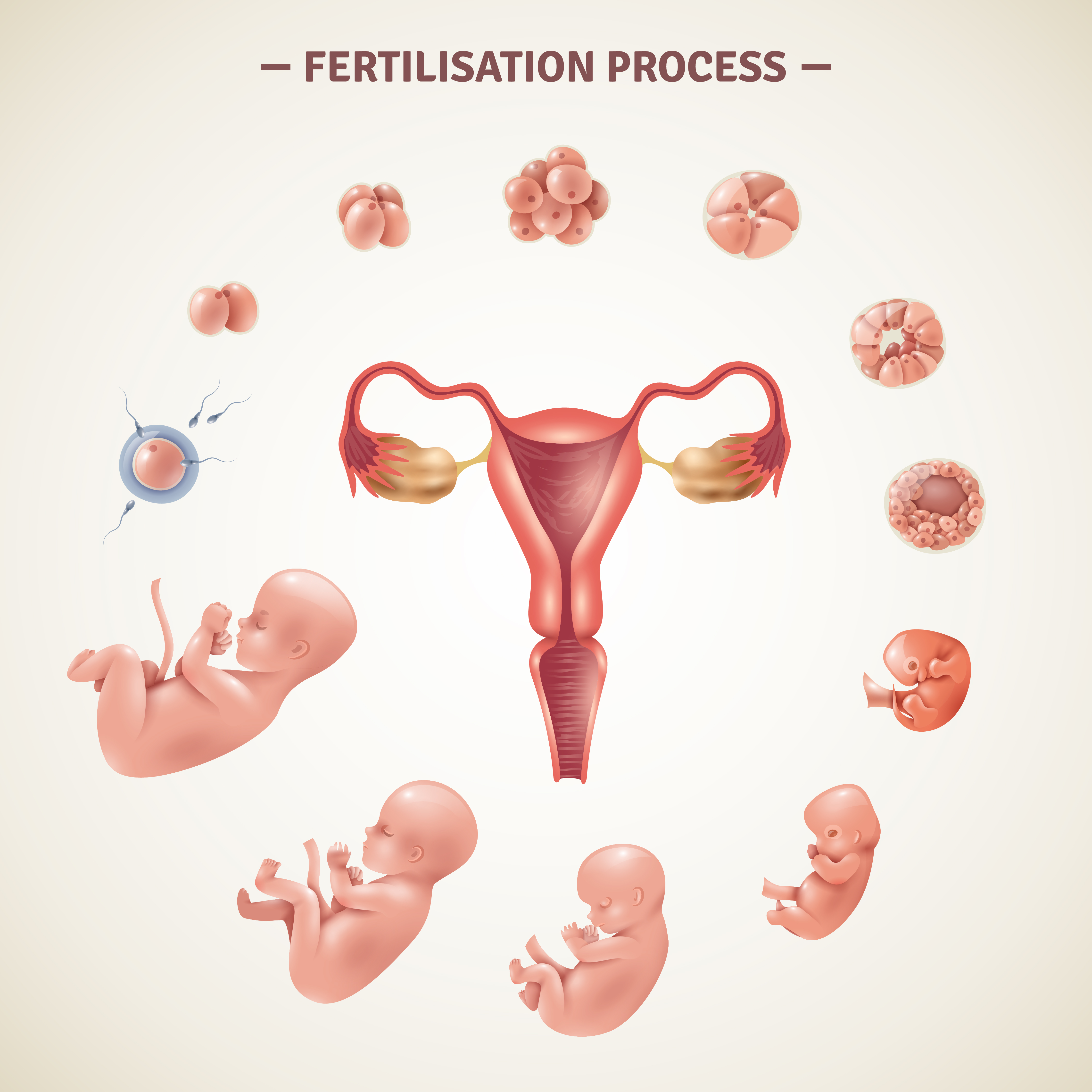 Gynaecology Treatment in India